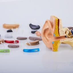 An assortment of hearing aids.