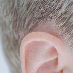 sideview of ear